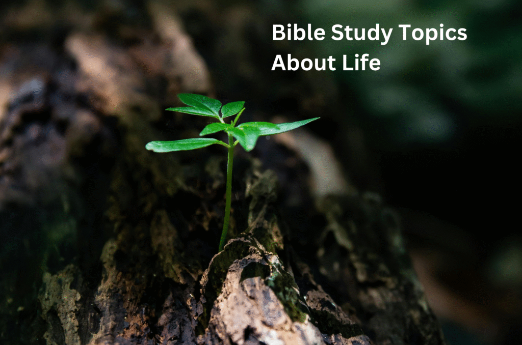 Bible Study Topics About Life